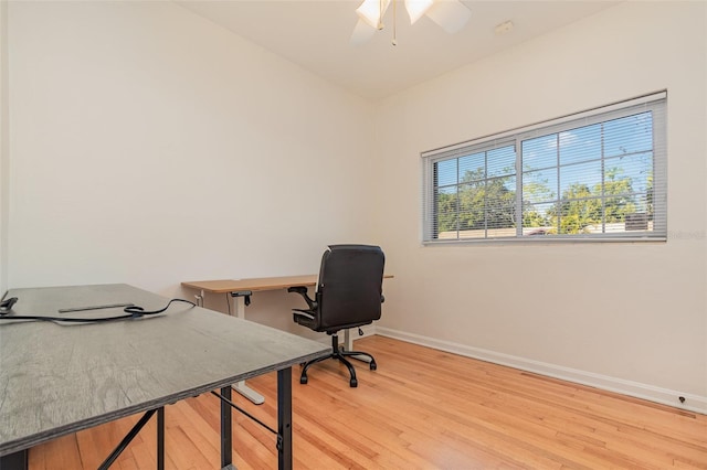 office area featuring ceiling fan and light wood-type flooring