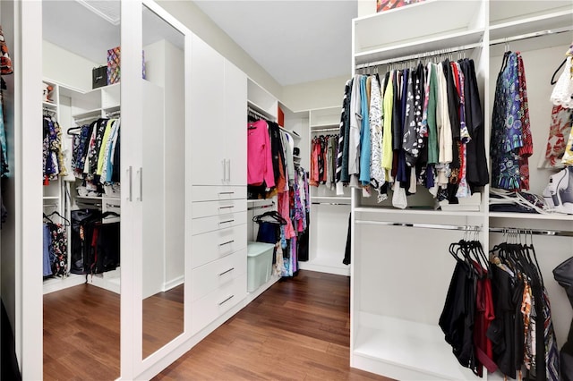 walk in closet with hardwood / wood-style flooring