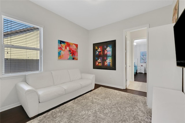 living room with hardwood / wood-style flooring