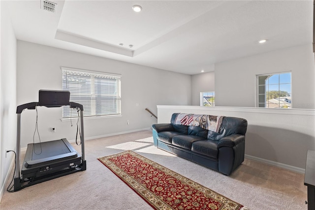 exercise room with carpet floors and a raised ceiling