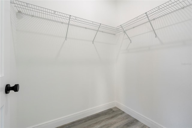 walk in closet with hardwood / wood-style floors