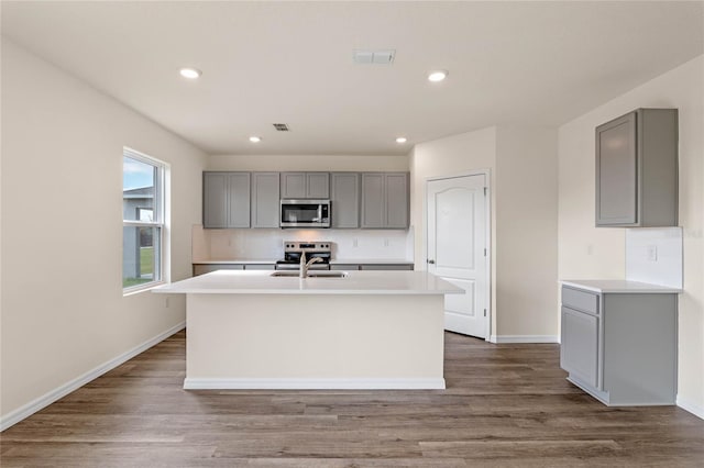 kitchen with gray cabinets, stainless steel appliances, and an island with sink