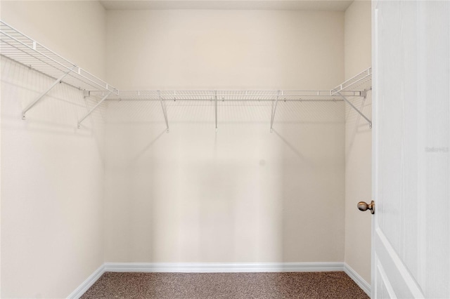 walk in closet featuring carpet flooring