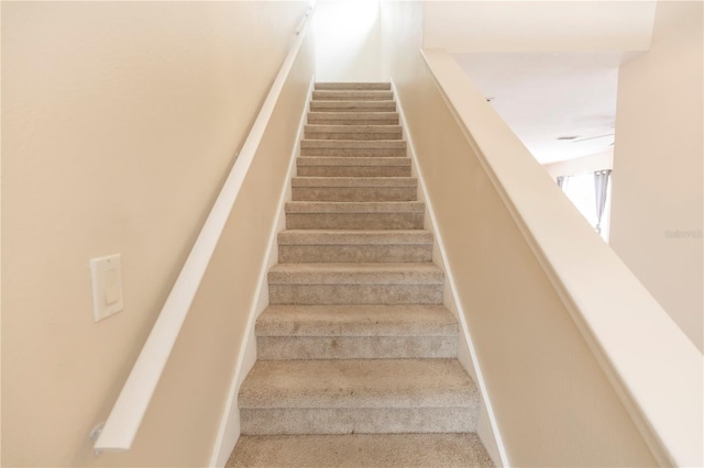 staircase featuring carpet floors