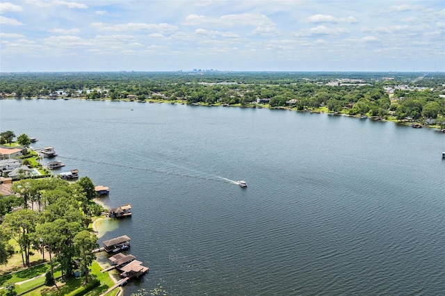 aerial view with a water view