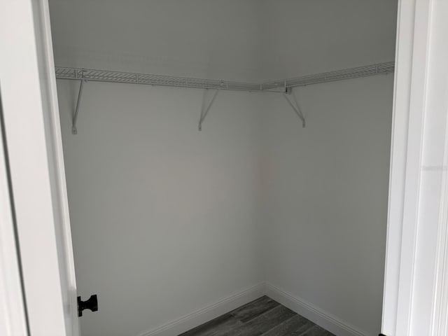 spacious closet featuring dark wood-type flooring