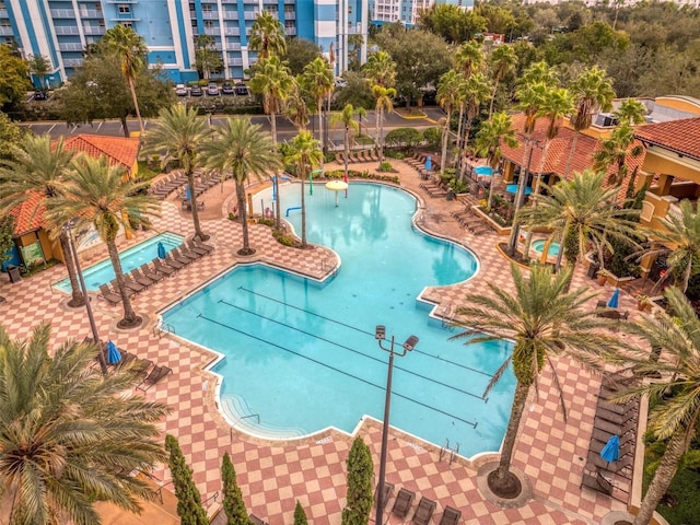 view of pool featuring a patio area