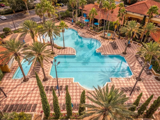 view of swimming pool featuring a patio