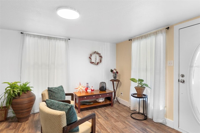 living area with wood-type flooring