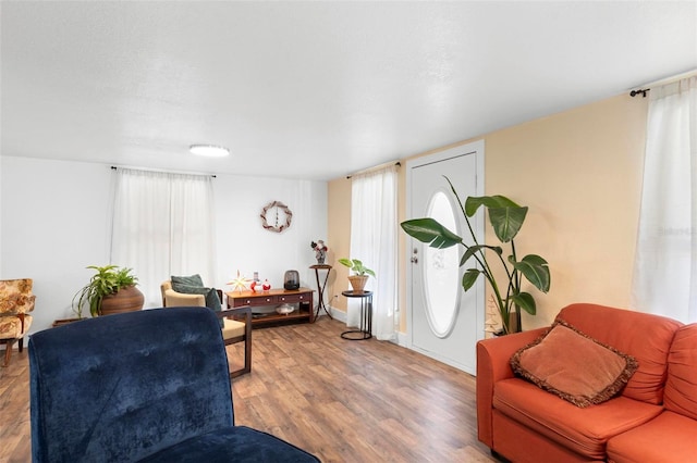 living room with hardwood / wood-style floors and a wealth of natural light