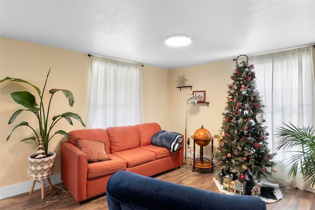 living room with hardwood / wood-style flooring and a healthy amount of sunlight