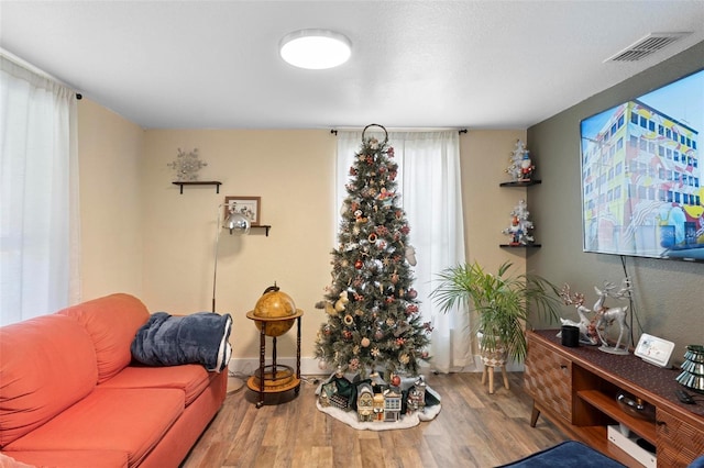 living room with wood-type flooring