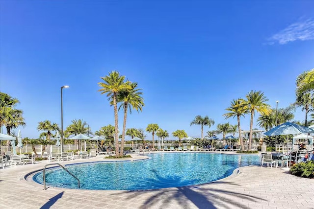 view of pool featuring a patio area