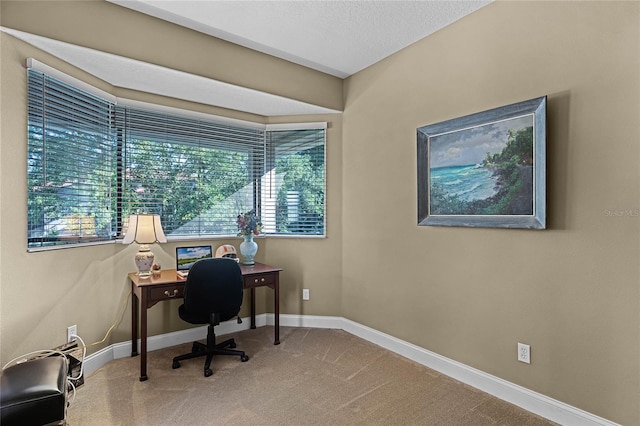 view of carpeted office