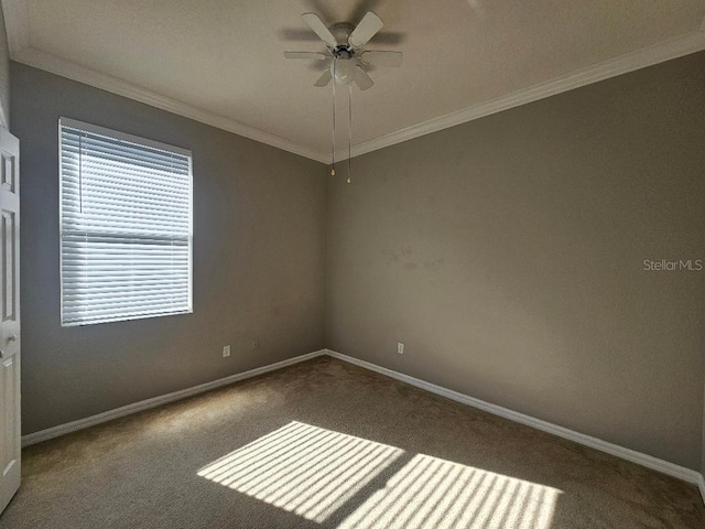 carpeted spare room featuring ceiling fan and crown molding