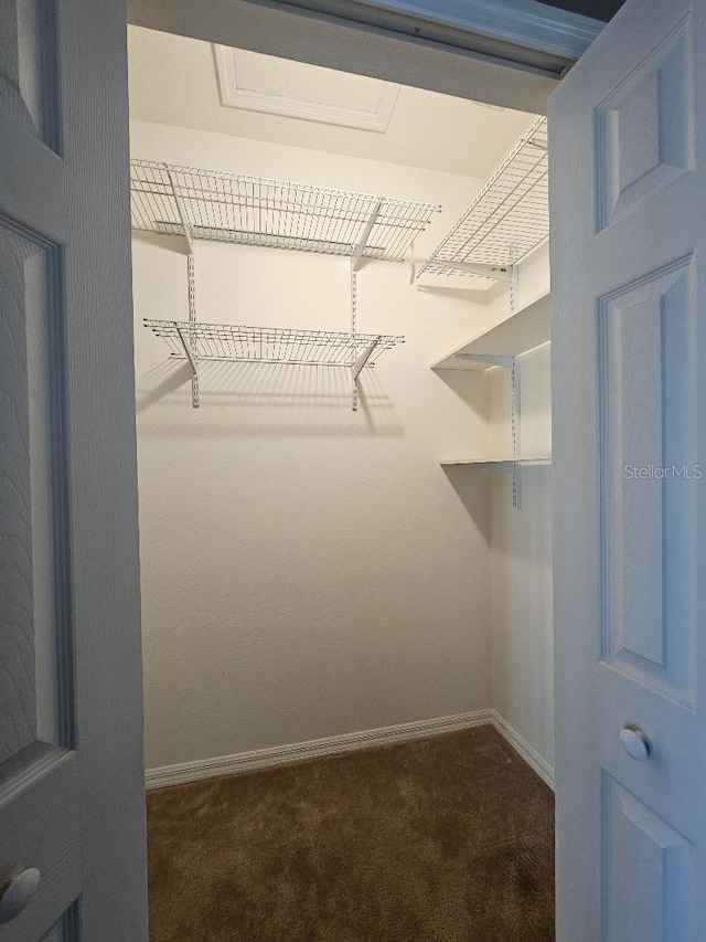 walk in closet featuring dark carpet