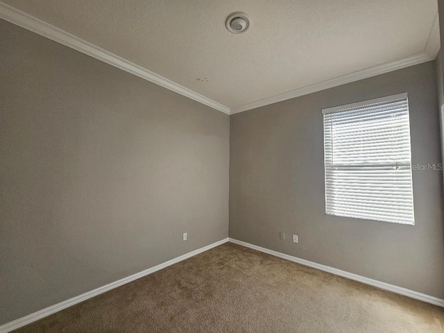 spare room featuring carpet floors and ornamental molding