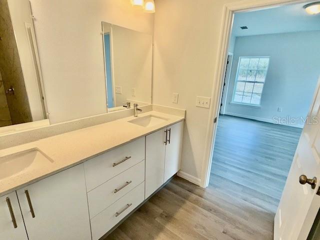 bathroom with vanity and wood-type flooring