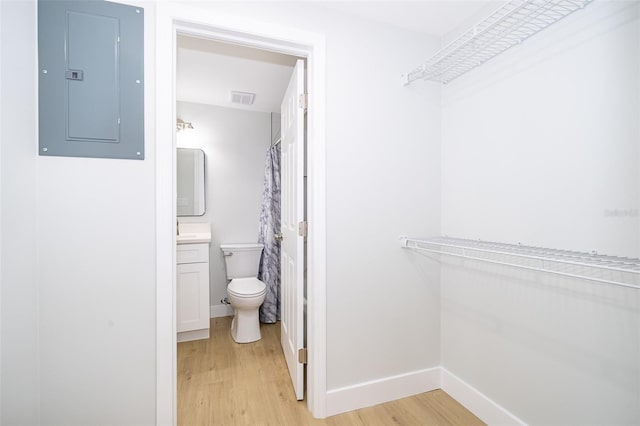 bathroom featuring electric panel, vanity, wood-type flooring, and toilet