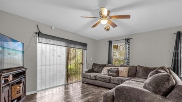 living room with dark hardwood / wood-style floors, a wealth of natural light, and ceiling fan