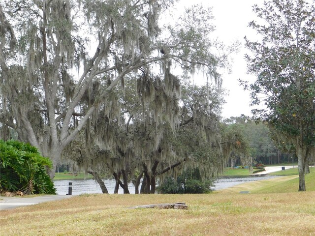 view of home's community with a water view