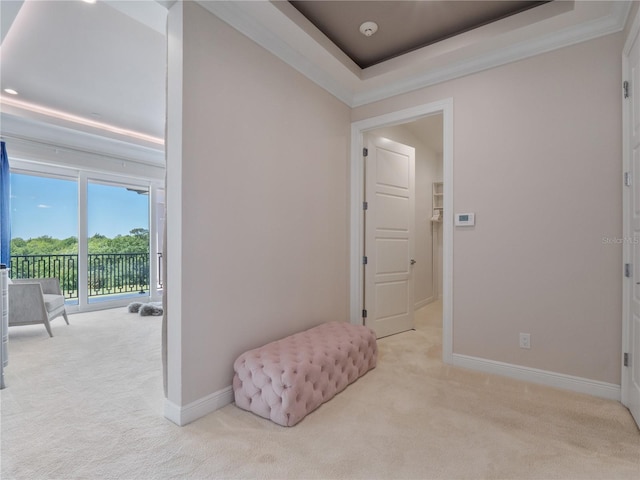 interior space with ornamental molding, a tray ceiling, and light colored carpet