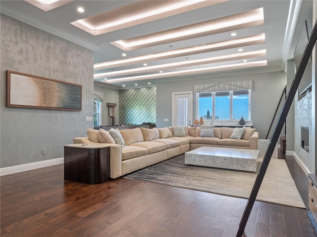 living room featuring dark hardwood / wood-style flooring, a raised ceiling, and ornamental molding