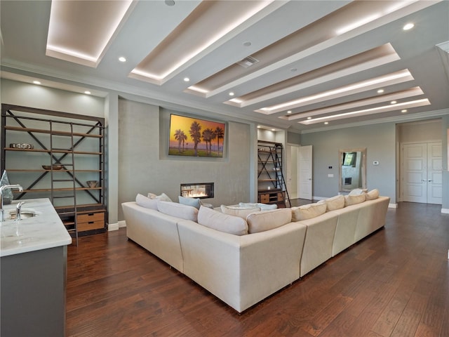 living room with a raised ceiling, ornamental molding, sink, and dark wood-type flooring