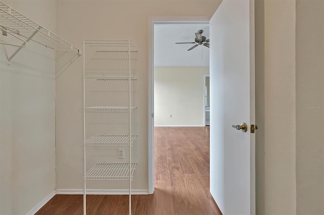 walk in closet with hardwood / wood-style floors and ceiling fan