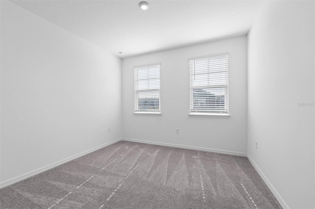 empty room featuring carpet