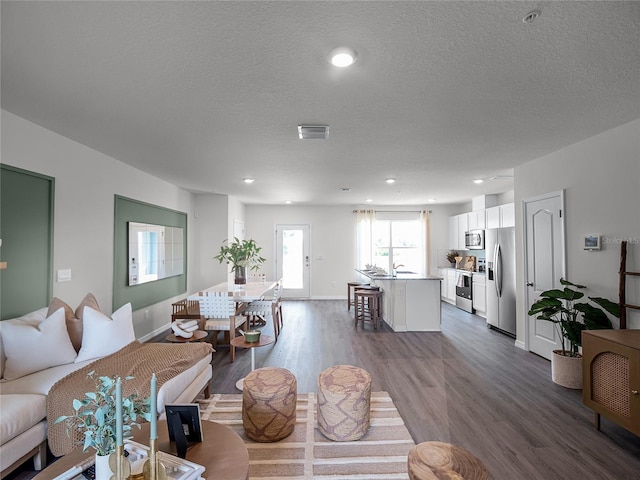 living room with sink, wood-type flooring, and a textured ceiling