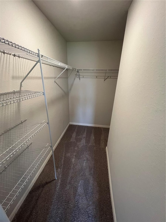 walk in closet with carpet