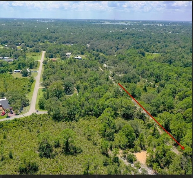 1408 Rutledge Ave, Lake Placid, FL 33852 - photo 1