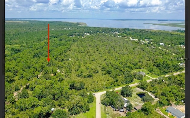 1408 Rutledge Ave, Lake Placid, FL 33852 - photo 2