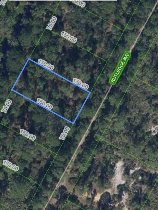 1408 Rutledge Ave, Lake Placid, FL 33852 - photo 3