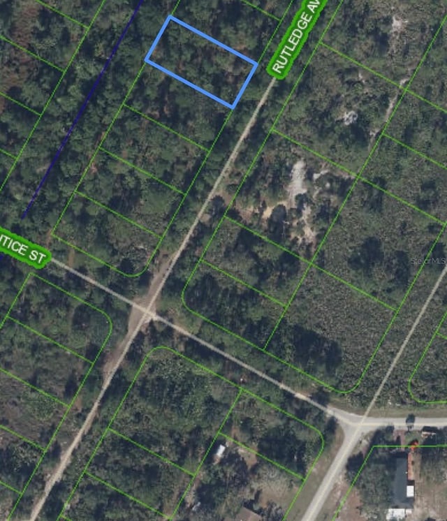 1408 Rutledge Ave, Lake Placid, FL 33852 - photo 5