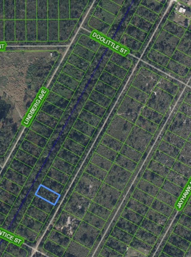 1408 Rutledge Ave, Lake Placid, FL 33852 - photo 7