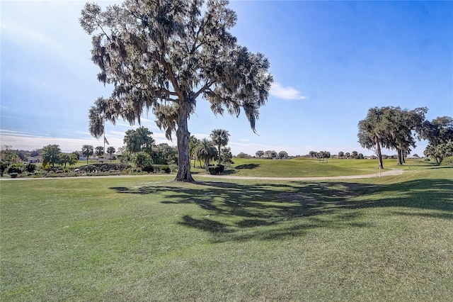 view of community with a lawn