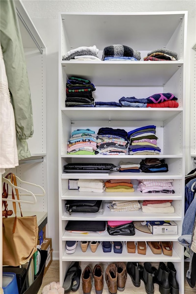 view of closet