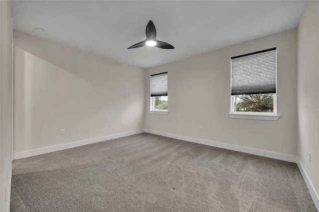 empty room featuring carpet flooring and a healthy amount of sunlight