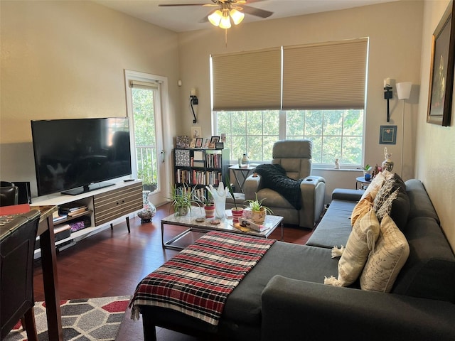 living room with ceiling fan and dark wood-type flooring