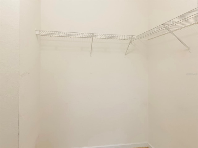 13536 Turtle Marsh Loop Unit 538, Orlando, FL 32837 - view of walk in closet