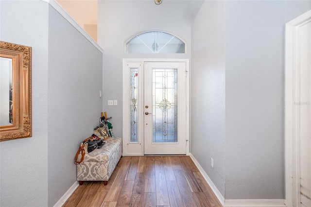 foyer featuring wood-type flooring and a high ceiling