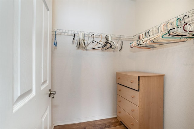 spacious closet with hardwood / wood-style floors