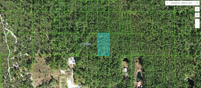 Hwy 60 E, Lake Wales FL, 33898 land for sale