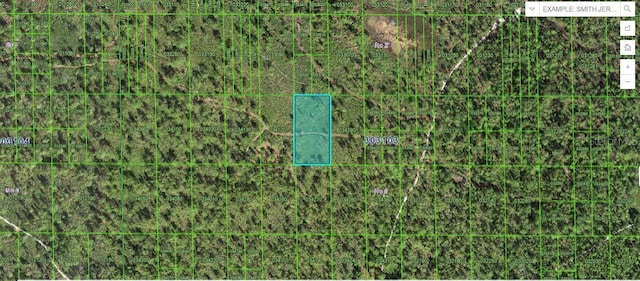 Hwy 60 E, Lake Wales FL, 33898 land for sale