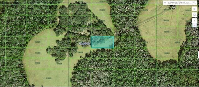 Tall Pine Rd, Polk City FL, 33868 land for sale