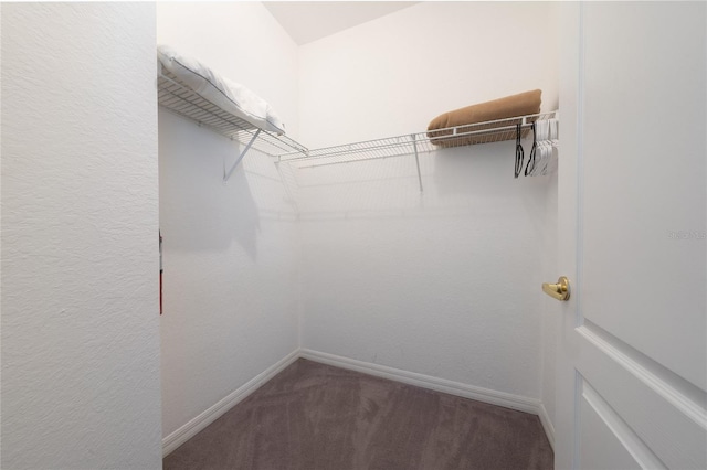 spacious closet with carpet floors