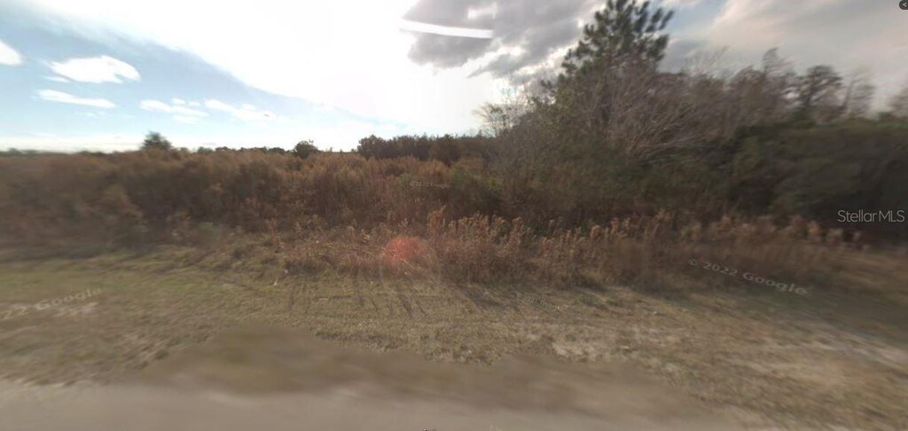 Backland Path Rd, Polk City, FL 33868 - photo 2