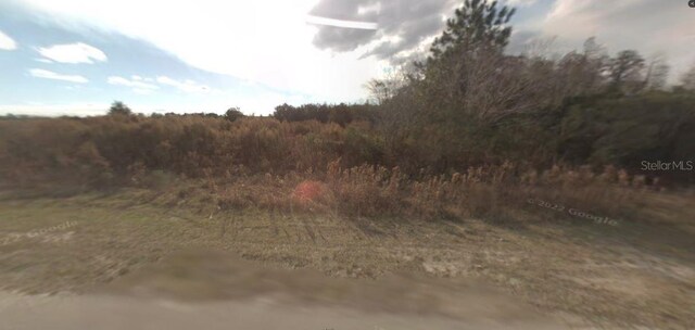 Backland Path Rd, Polk City, FL 33868 - photo 2